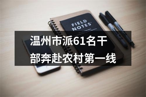 温州市派61名干部奔赴农村第一线