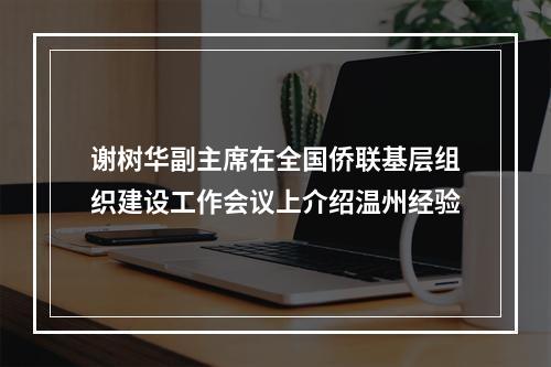 谢树华副主席在全国侨联基层组织建设工作会议上介绍温州经验