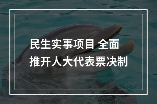 民生实事项目 全面推开人大代表票决制