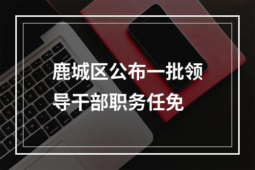 鹿城区公布一批领导干部职务任免