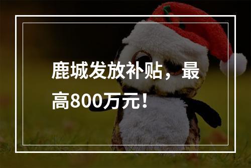 鹿城发放补贴，最高800万元！