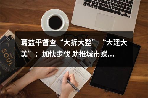 葛益平督查“大拆大整”“大建大美”：加快步伐 助推城市蝶变