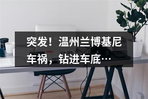 突发！温州兰博基尼车祸，钻进车底…