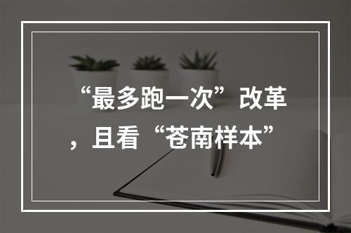 “最多跑一次”改革，且看“苍南样本”