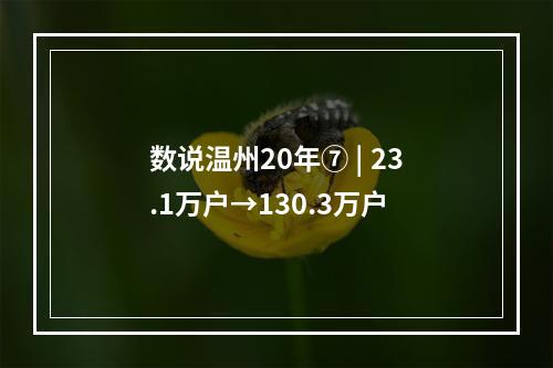 数说温州20年⑦ | 23.1万户→130.3万户