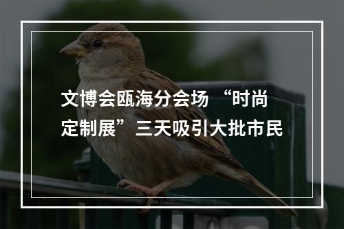 文博会瓯海分会场 “时尚定制展”三天吸引大批市民