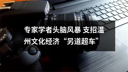 专家学者头脑风暴 支招温州文化经济“另道超车”