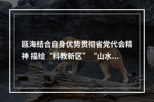 瓯海结合自身优势贯彻省党代会精神 描绘“科教新区”“山水瓯海”蓝图