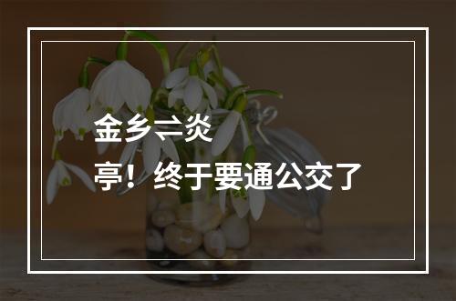 金乡⇌炎亭！终于要通公交了