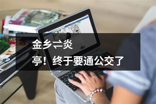 金乡⇌炎亭！终于要通公交了