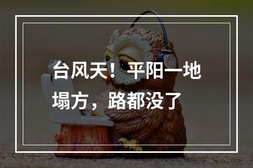 台风天！平阳一地塌方，路都没了