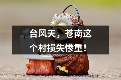 台风天，苍南这个村损失惨重！