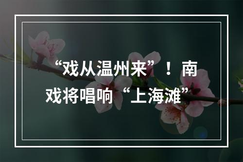 “戏从温州来”！南戏将唱响“上海滩”