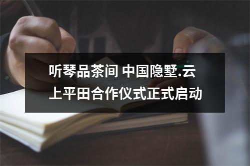 听琴品茶间 中国隐墅.云上平田合作仪式正式启动