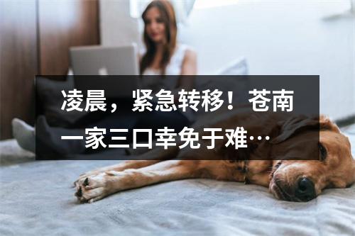 凌晨，紧急转移！苍南一家三口幸免于难…