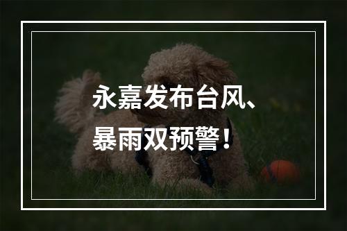 永嘉发布台风、暴雨双预警！