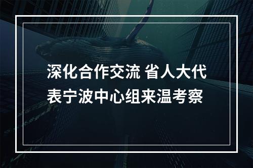 深化合作交流 省人大代表宁波中心组来温考察