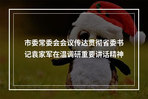 市委常委会会议传达贯彻省委书记袁家军在温调研重要讲话精神