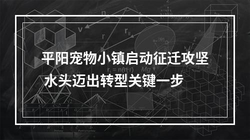 平阳宠物小镇启动征迁攻坚 水头迈出转型关键一步
