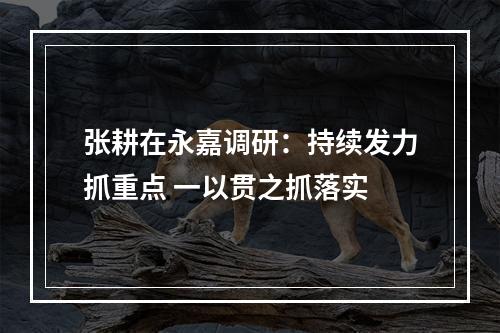 张耕在永嘉调研：持续发力抓重点 一以贯之抓落实