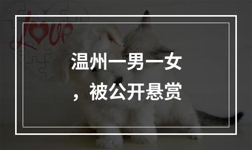 温州一男一女，被公开悬赏