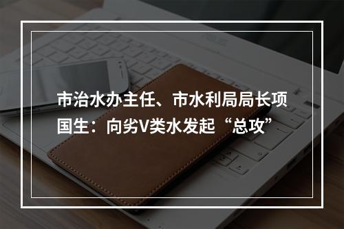 市治水办主任、市水利局局长项国生：向劣V类水发起“总攻”
