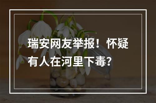 瑞安网友举报！怀疑有人在河里下毒？