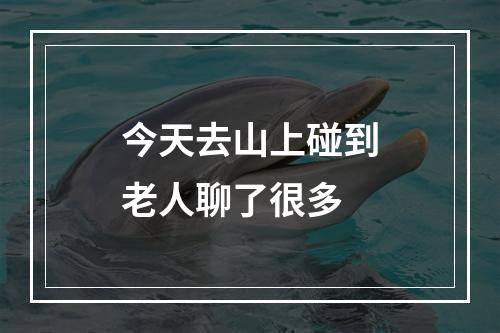 今天去山上碰到老人聊了很多