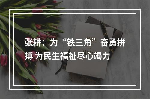 张耕：为“铁三角”奋勇拼搏 为民生福祉尽心竭力