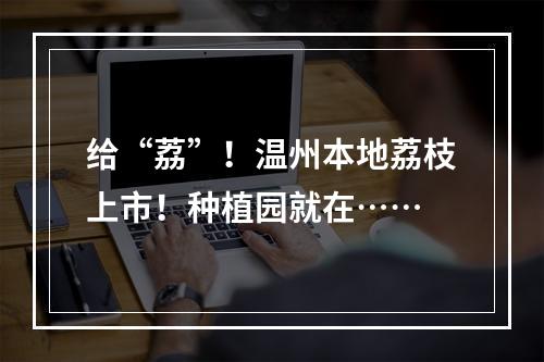 给“荔”！温州本地荔枝上市！种植园就在……