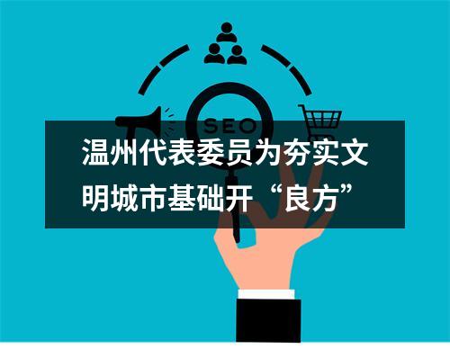 温州代表委员为夯实文明城市基础开“良方”