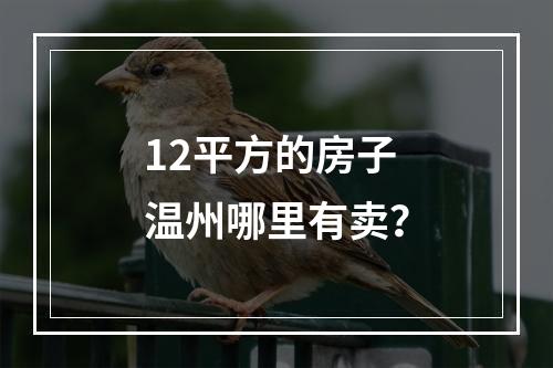 12平方的房子温州哪里有卖？