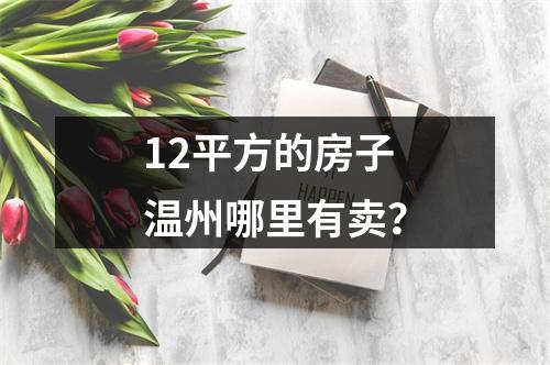 12平方的房子温州哪里有卖？