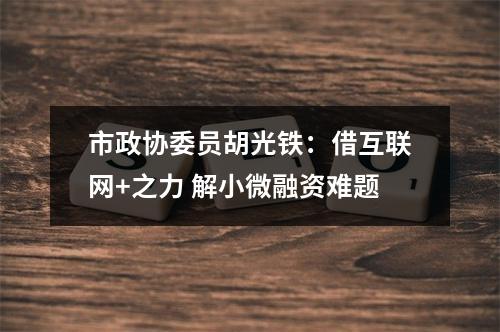 市政协委员胡光铁：借互联网+之力 解小微融资难题