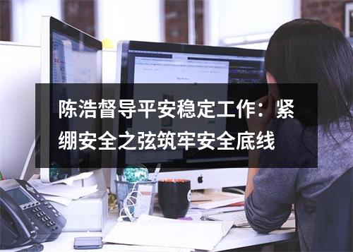 陈浩督导平安稳定工作：紧绷安全之弦筑牢安全底线