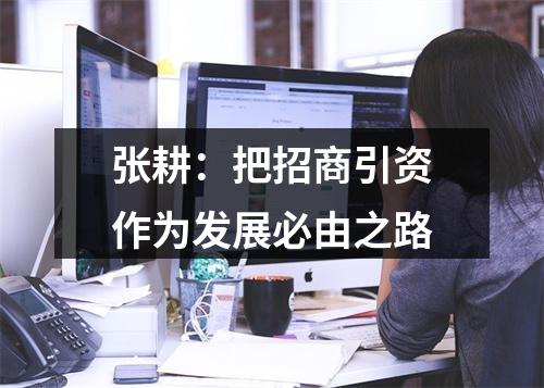 张耕：把招商引资作为发展必由之路