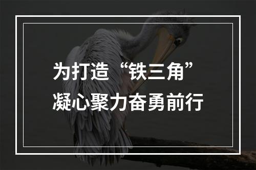 为打造“铁三角”凝心聚力奋勇前行