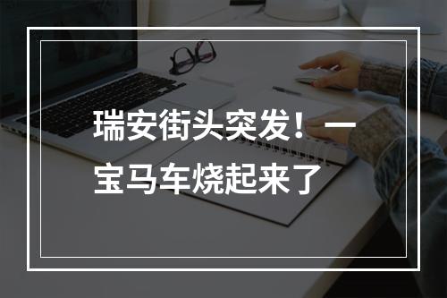 瑞安街头突发！一宝马车烧起来了