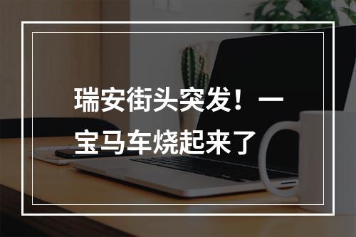 瑞安街头突发！一宝马车烧起来了