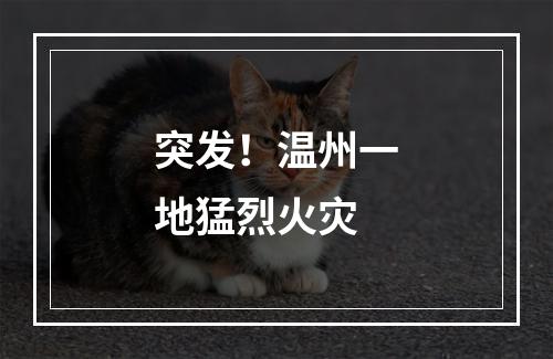 突发！温州一地猛烈火灾