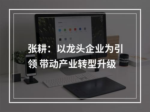 张耕：以龙头企业为引领 带动产业转型升级