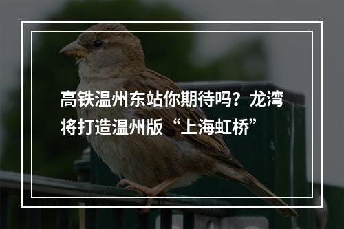 高铁温州东站你期待吗？龙湾将打造温州版“上海虹桥”