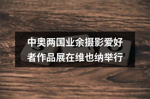 中奥两国业余摄影爱好者作品展在维也纳举行