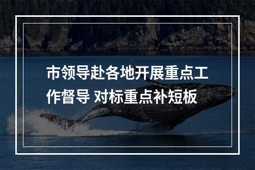 市领导赴各地开展重点工作督导 对标重点补短板