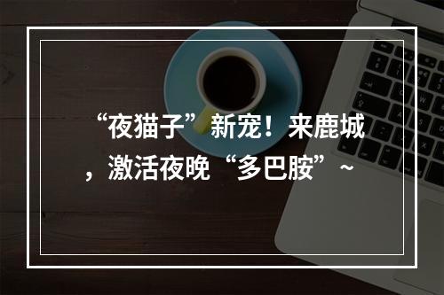 “夜猫子”新宠！来鹿城，激活夜晚“多巴胺”~