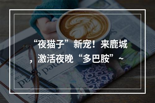 “夜猫子”新宠！来鹿城，激活夜晚“多巴胺”~