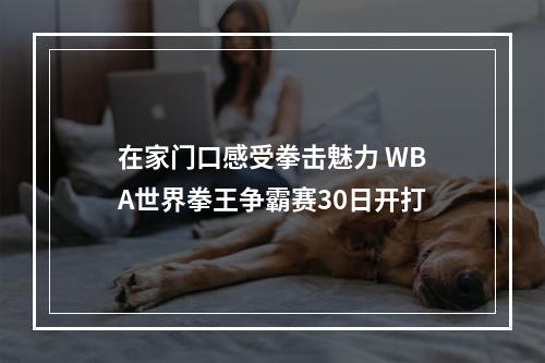 在家门口感受拳击魅力 WBA世界拳王争霸赛30日开打