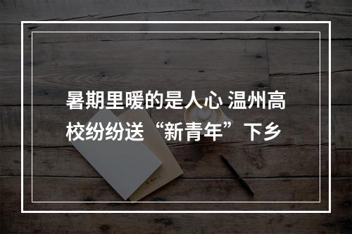 暑期里暖的是人心 温州高校纷纷送“新青年”下乡