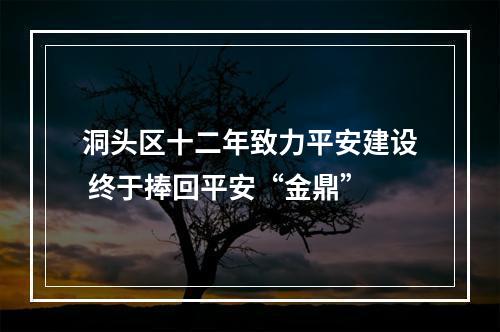 洞头区十二年致力平安建设 终于捧回平安“金鼎”