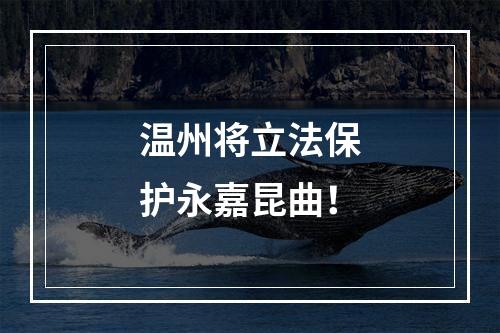 温州将立法保护永嘉昆曲！